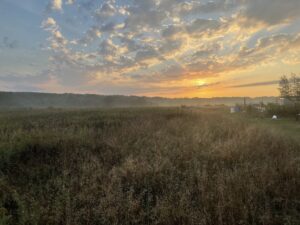 The Farm At Dusk